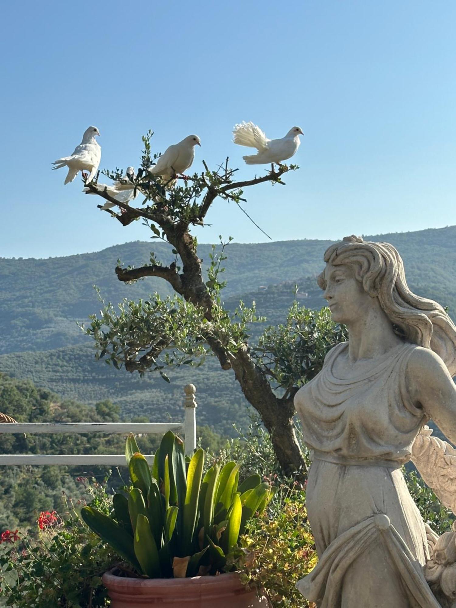 Torria Villa Anna מראה חיצוני תמונה