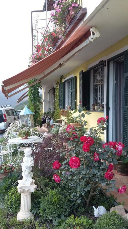 Torria Villa Anna מראה חיצוני תמונה