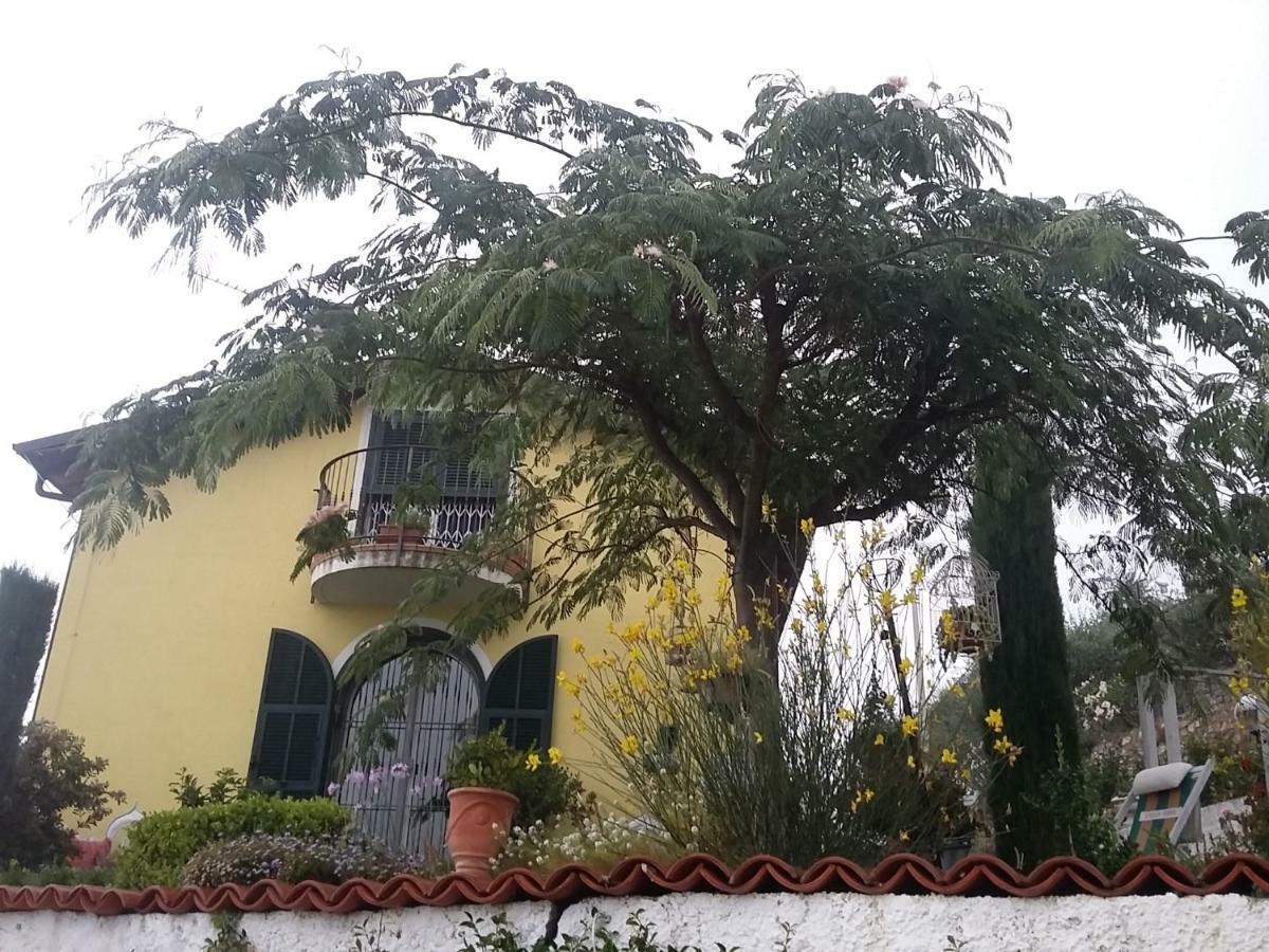 Torria Villa Anna מראה חיצוני תמונה